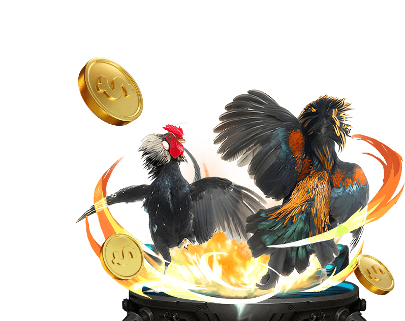 Cá cược thể thao tại new88.com với đa dạng kèo cược